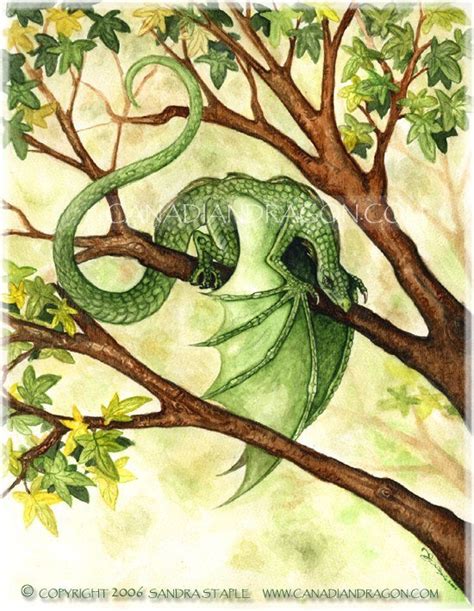 Watercolor Dragon Paintings at GetDrawings | Free download