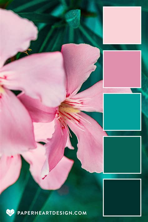 Color Palette: Pretty in Pink — Paper Heart Design