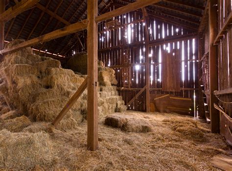 Horse Hay Storage | Stable Management