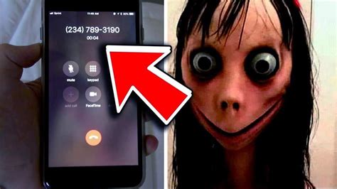 The Truth About Momo | Urban Legends & Cryptids Amino