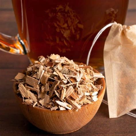 What Are the Benefits of Willow Bark Tea? - Brewed Leaf Love