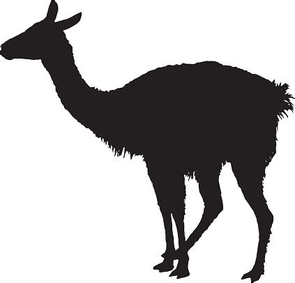 Llama Silhouette - ClipArt Best