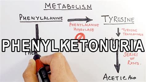 Phenylketonuria | Biochemistry & Genetics - YouTube