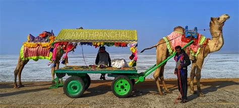 I visited Rann of Kutch Festival - Rann Utsav 2020 - Amit Panchal