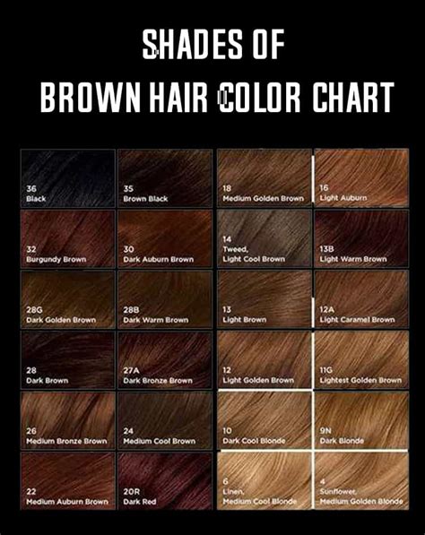 Shades Of Brown Hair Color