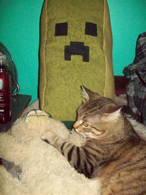 Creeper pillow I made for my friend's birthday! (and their cat) : r ...