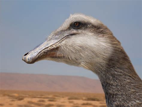 10 Facts About Deinocheirus