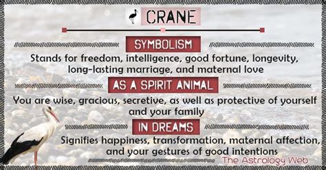 What does a crane symbolize, white crane, whooping crane, as a spirit ...