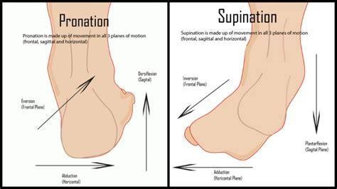 PRONATION VS. SUPINATION - Shoes Review and Buying Guides