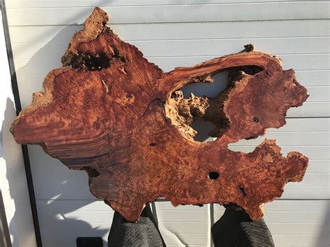 REDWOOD BURL WALL ART - Woodify Canada