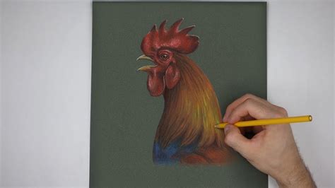 Special Rooster Crowing Portrait Drawing! - YouTube