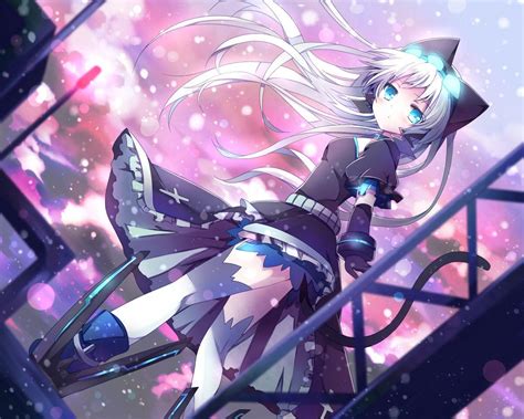 Anime Neko Girl Wallpapers - Top Free Anime Neko Girl Backgrounds ...