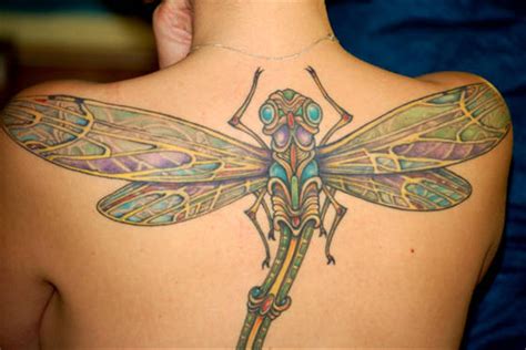 Latest Tattoos Designs: Beautiful Dragonfly Tattoos