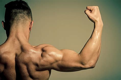 10 Makanan untuk Membesarkan Otot Biceps dan Triceps pada Lengan