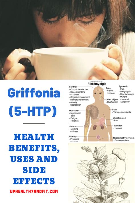 Griffonia Simplicifolia (5-HTP) Health Benefits, Uses and Side Effects