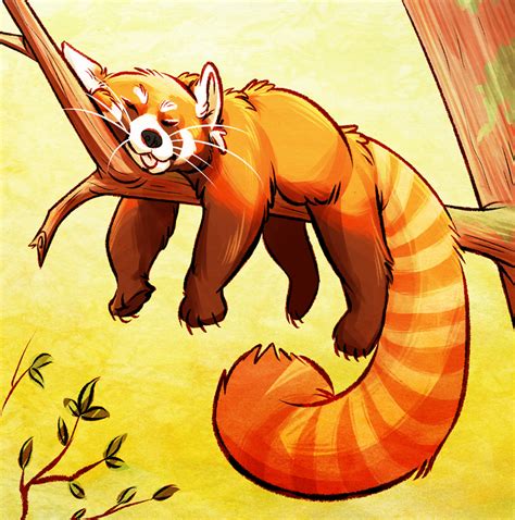 red panda by unbadger on DeviantArt