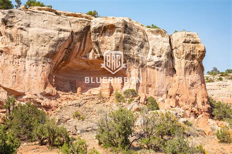 Camping within Canyons of the Ancients National Monument | BlueRibbon ...