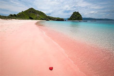 How To Visit The Pink Beach In Komodo Island, Indonesia