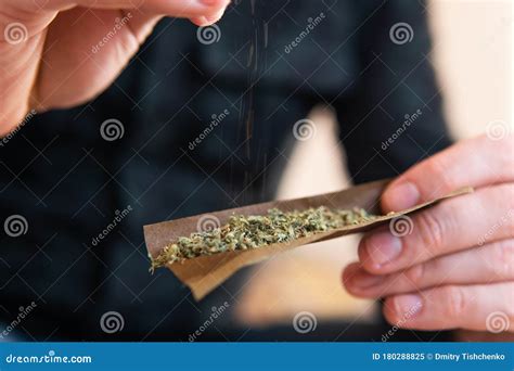 Man Rolling a Marijuana Blunt Drug Use. Man Preparing and Rolling ...