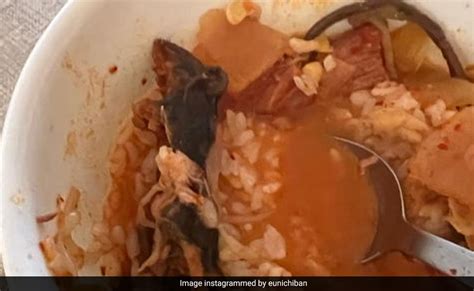 Woman Finds Rat In Soup Served At US Restaurant, Files Lawsuit