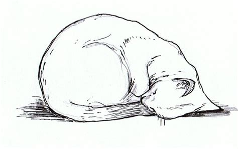 Curled up cat by alaskaland on DeviantArt