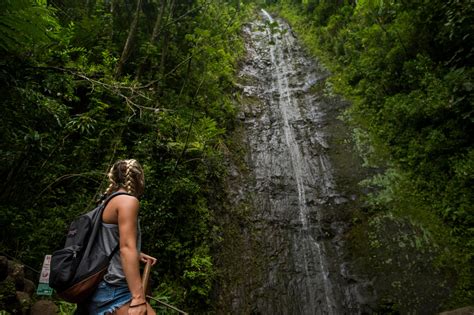 Top Hiking Trails on Oahu - 2021 Travel Recommendations | Tours, Trips ...