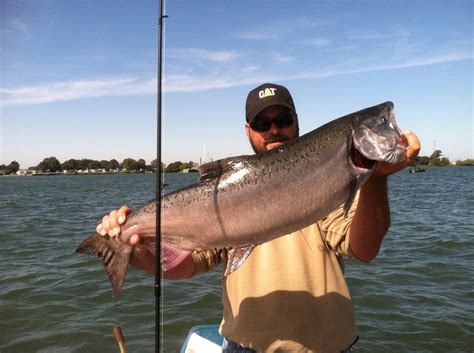 Fishing for salmon with my hubby - Rio Vista, CA | Fish, Rio vista ...