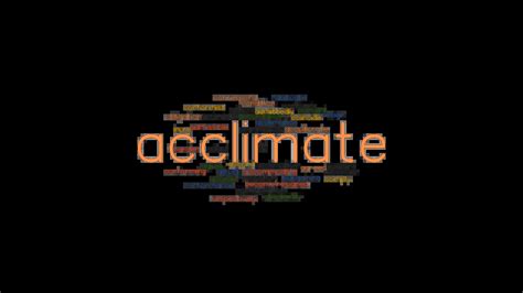 ACCLIMATE: Synonyms and Related Words. What is Another Word for ...