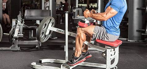 4 Best Calf Exercises for Building & Strengthening Calf Muscles