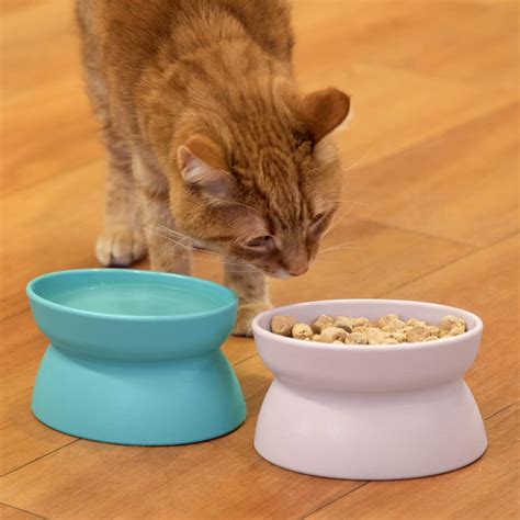 Top 10 Cat Food Bowls With Stand Replus - Home Preview