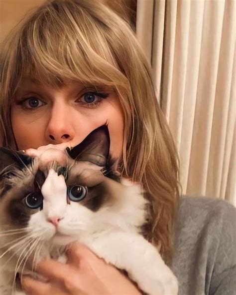 taylor with cats Taylor Swift Cat, Long Live Taylor Swift, Taylor Swift ...