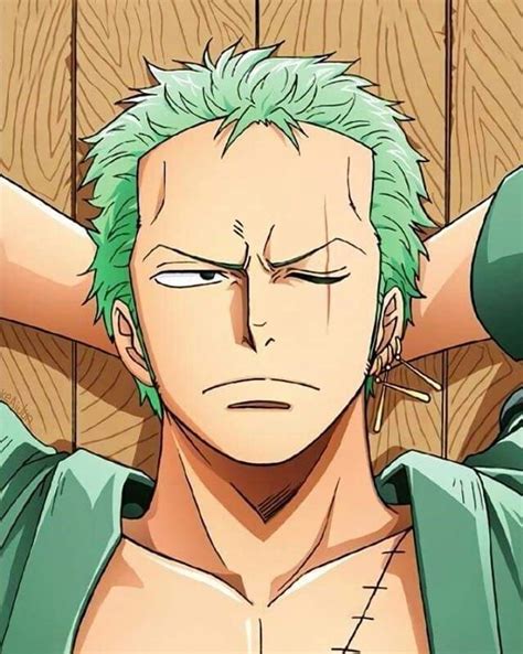 24+ roronoa zoro real pirate - BroghaneAra