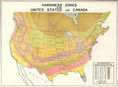 Plant Hardiness Zone Map 2024 - Essy Selina