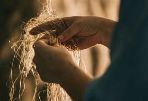 Benefits of Hemp Linen vs Flax Linen | GOOD STUDIOS