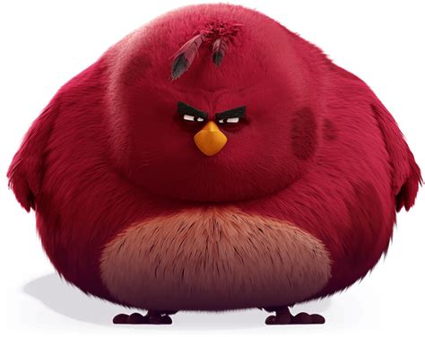 Terence | Red angry bird, Angry birds characters, Angry birds