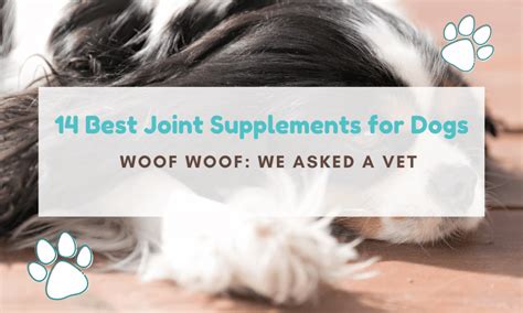 14 Best Joint Supplements for Dogs: We Asked A Vet