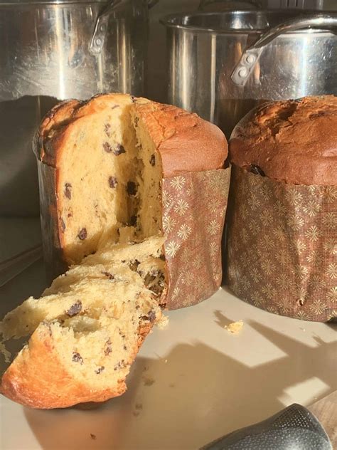 Panettone Recipe For Panasonic Bread Machine Manual | Deporecipe.co