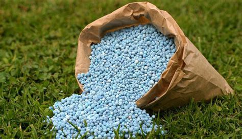 What Are Different Types of Fertilizer?