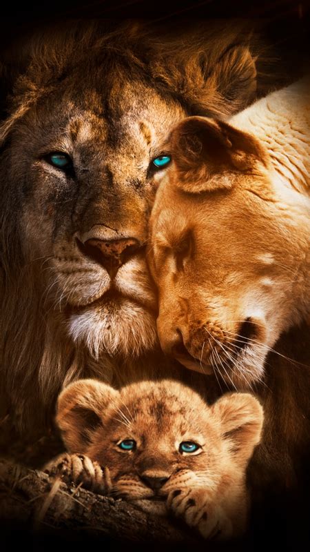 Lions Family - Apps on Galaxy Store | Nadide hayvanlar, Yavru aslan ...