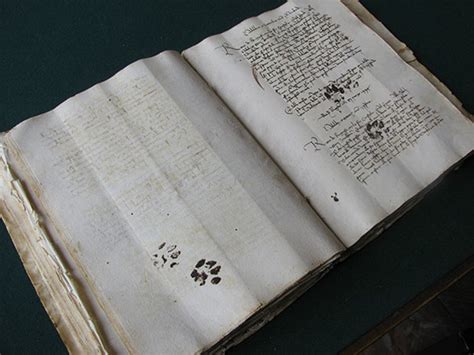 Medieval cat’s paw prints on manuscript c. 1100s | Cat paw print, Cat ...