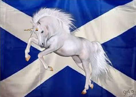 POB on Twitter | Scotland unicorn, Scotlands national animal, Scotland ...