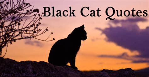 Black Cat Quotes - The Best Quotes to Celebrate Black Cats