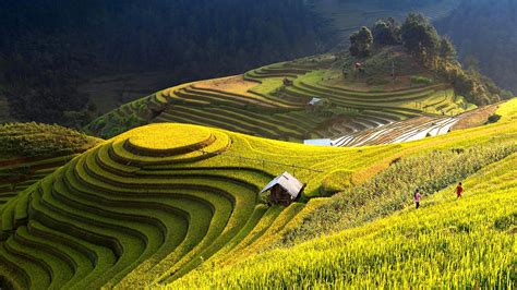 view of rice terraces [1920*1200] – gogambar