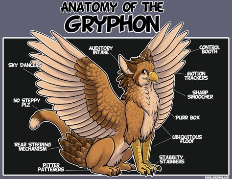 Anatomy of the Gryphon artwork print | Etsy