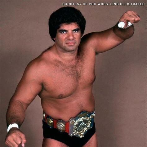 Don Muraco | Professional wrestling, Pro wrestling, Wrestling