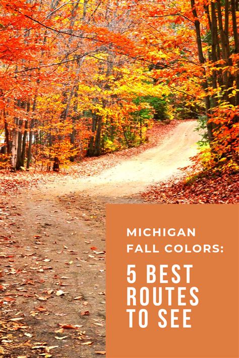 Michigan Fall Colors: 5 Best Routes to See | Michigan road trip, Fall ...