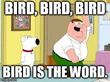 Peter Griffing the bird is the word - Imgflip