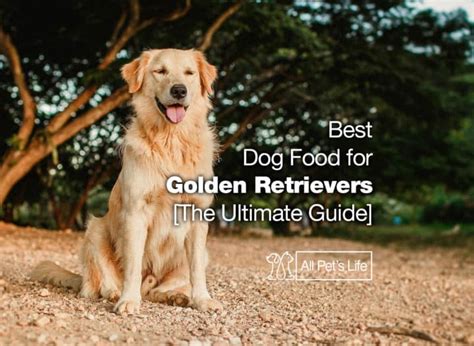 12: Best Dog Food for Golden Retrievers 2021 [The Ultimate Guide] - All ...