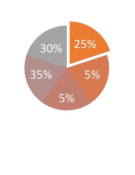 Editable Pie Chart Template