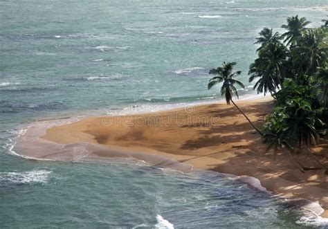 Saona island beach stock photo. Image of punta, destinations - 108032638